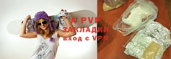 spice Новосибирск