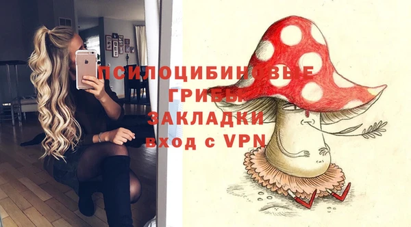 хмурый Ессентукская