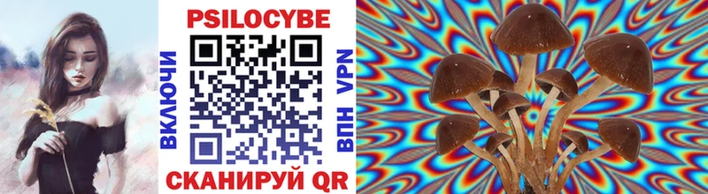 Псилоцибиновые грибы MAGIC MUSHROOMS Лесозаводск
