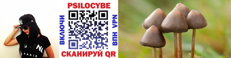 Псилоцибиновые грибы прущие грибы  купить  цена  Лесозаводск 